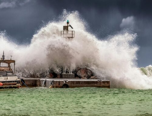 Guide to Emergency Disaster Preparedness – Hurricane Edition
